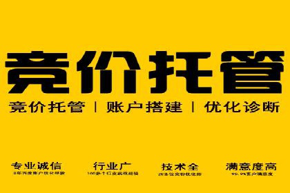 SEM代运营机构成功案例：提升品牌曝光率的秘诀